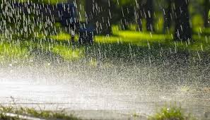 74 4 mm rainfall at Shahuwadi