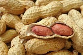 Benefits of eating groundnut pods in winter