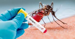 Dengue patient campaign started by Kolhapur Zilla Parishad