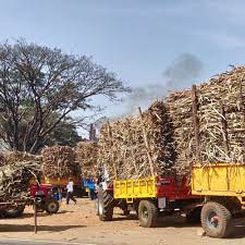 Changes in sugarcane transportation route in Kolhapur city