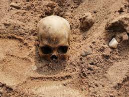 Shocking 4 human skulls found in riverbed in Kolhapur district