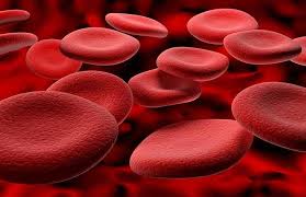 Hemoglobin