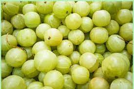 Many benefits of eating amla in winter