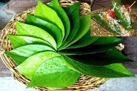 Eating plantain leaves has many benefits