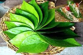 5 benefits of eating plantain leaves