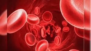 Rapid hemoglobin raising effect   Home remedies