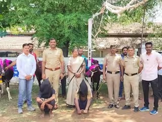 Animal stealing gang busted in Kolhapur district