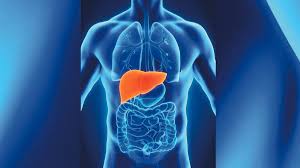 Effects of bad habits on the liver