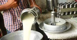 Battle of the ruling panel in Kololis Shivshambho Milk Institute