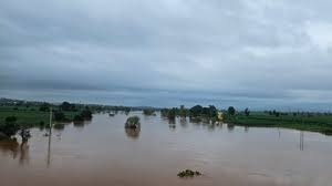 Incessant rain in Kolhapur district 56 dams under water