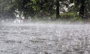 Kolhapur Heavy rain in Gaganbawda dam area