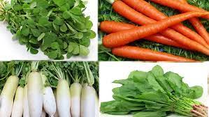 Eat these 4 vegetables in winter you will stay away from diseases