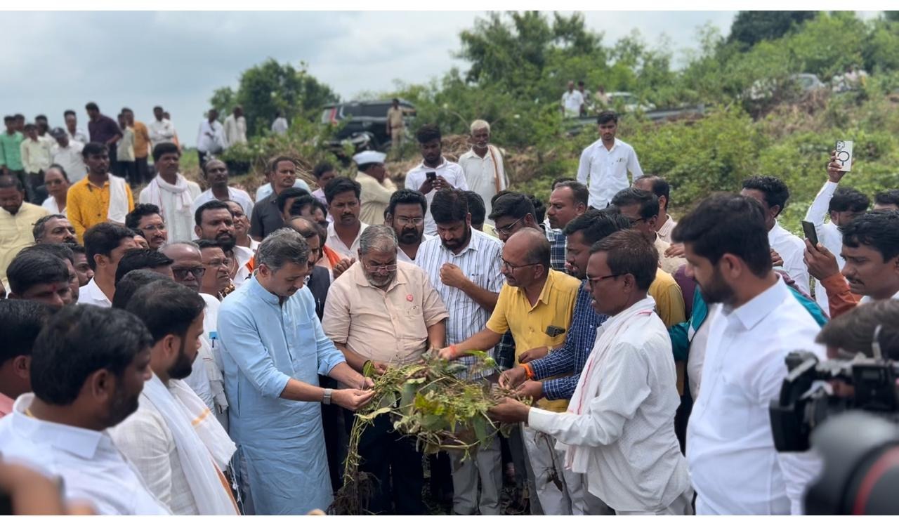 Heavy rains in Parbhani caused huge loss to farmers