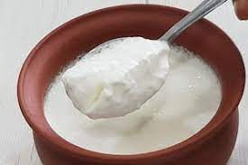 Why not eat curd in rainy season