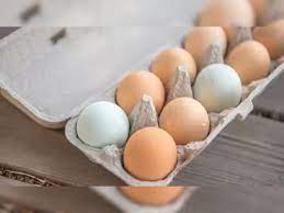 Follow these simple steps to keep eggs fresh for longer