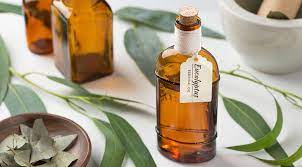 Know the benefits of eucalyptus oil