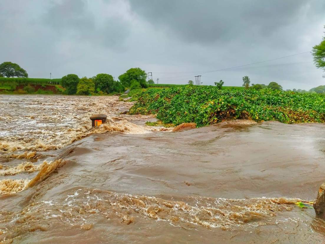 Increase in aquatic life in Panchganga