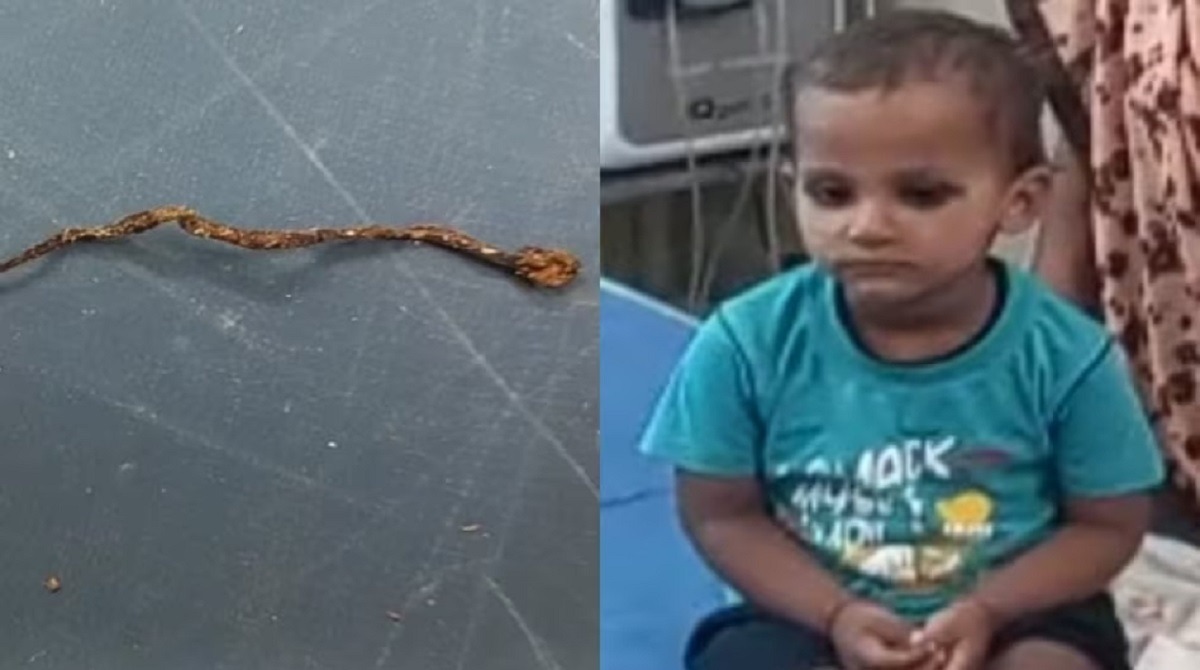 A threeyearold child mistook the chocolate for a snake and ate it
