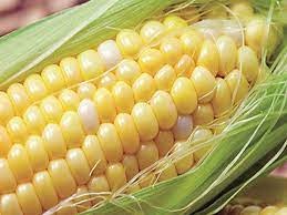 These are 4 benefits of corn kernels