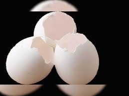 Do you know these 10 benefits of egg shell