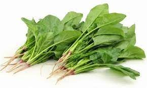 Eat multi purpose spinach