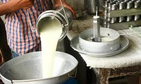Methods for detecting adulteration in milk