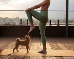 Puppy yoga is very beneficial for health