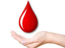 Blood donation camps in various places in the city on the anniversary of Shiv Sena