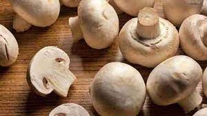 Mushrooms are beneficial for weight loss