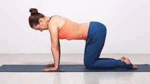 Do this Yogasana to get relief from back pain