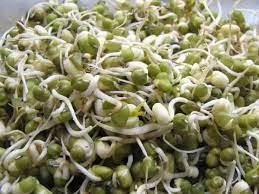 Regularly eat mung beans in the morning