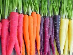 Carrot is also effective against hemorrhoids and heart disease