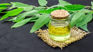 Amazing Benefits of Eucalyptus Oil