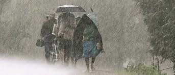 63 4 mm rainfall at Gaganbawda