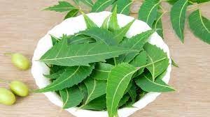 Use neem in summer