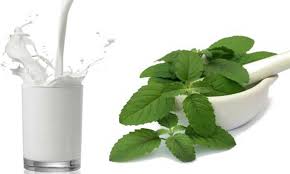 Take milk with Tulsi leaves at night