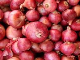 Healthy onion