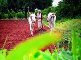 On the occasion of Agriculture Day