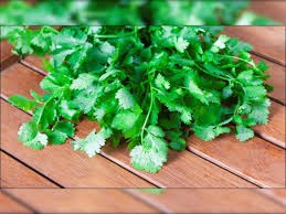 These five benefits of coriander