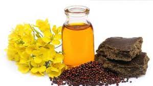 Numerous benefits of applying mustard oil to hair