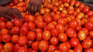 The housewives expressed their satisfaction as tomatoes cost Rs 20 per kg