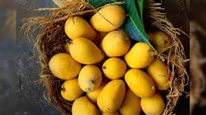 Does eating mango increase weight blood sugar