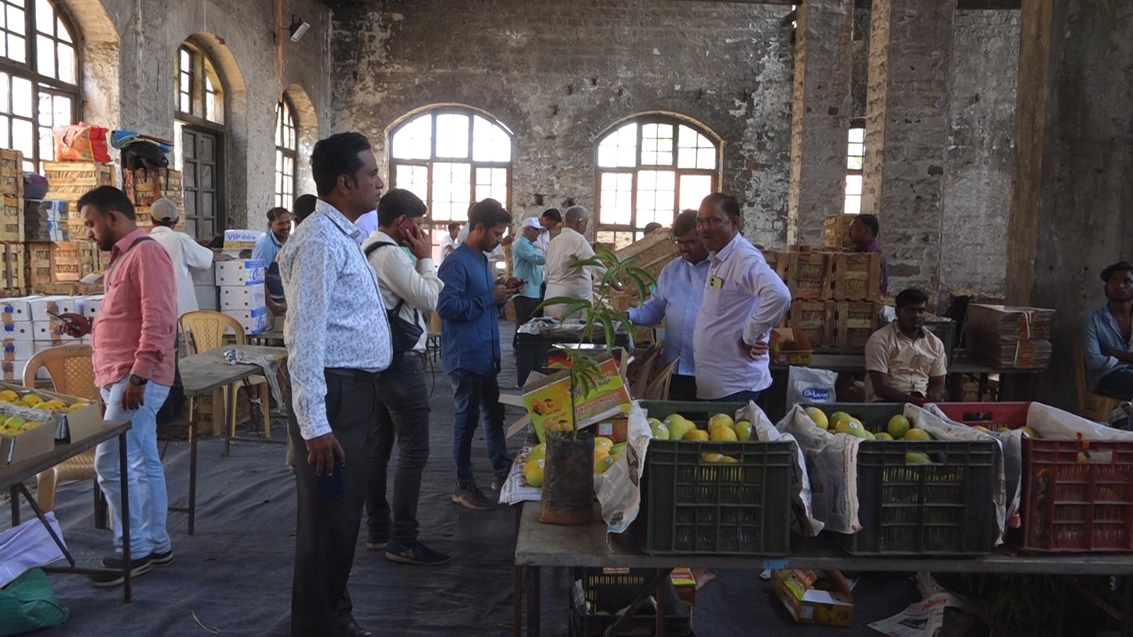 Mango Fair held at Shahu Mill: Rajarshi Chhatrapati Shahu Memorial Centenary Fund